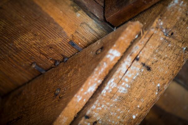 18th century nails shoved in between hand craved joints in the stairs leading up to the second floor of the Williamsburg Bray School on Wednesday, Oct 30, 2024 in Williamsburg, Va. (AP Photo/John C. Clark)