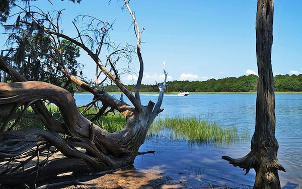 Skidaway Island State Park borders Georgia's intracoastal waterway.