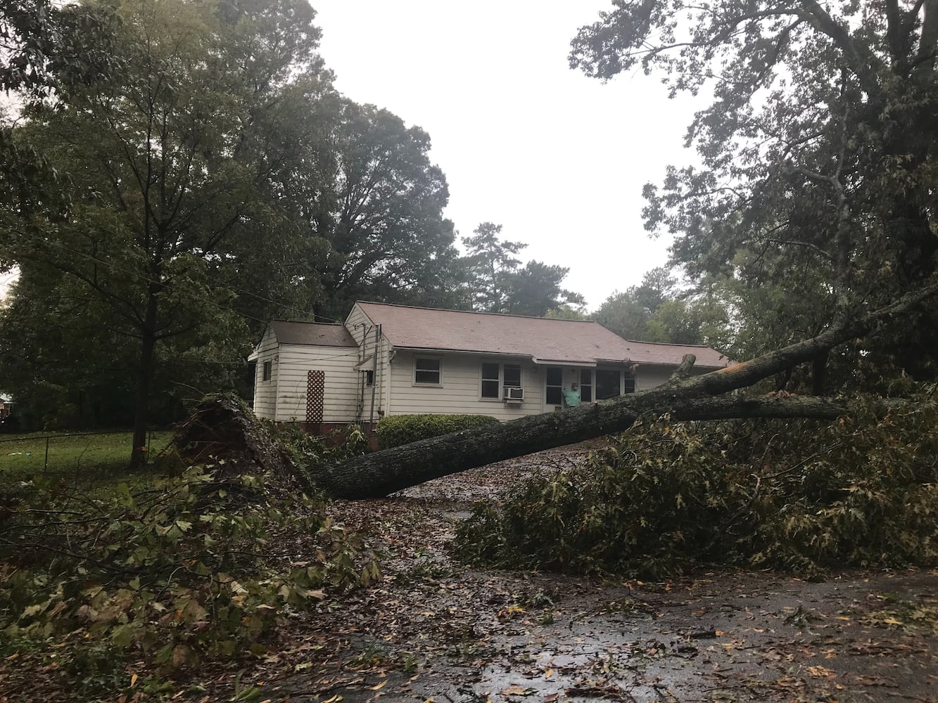 Atlanta storms from Hurricane Zeta