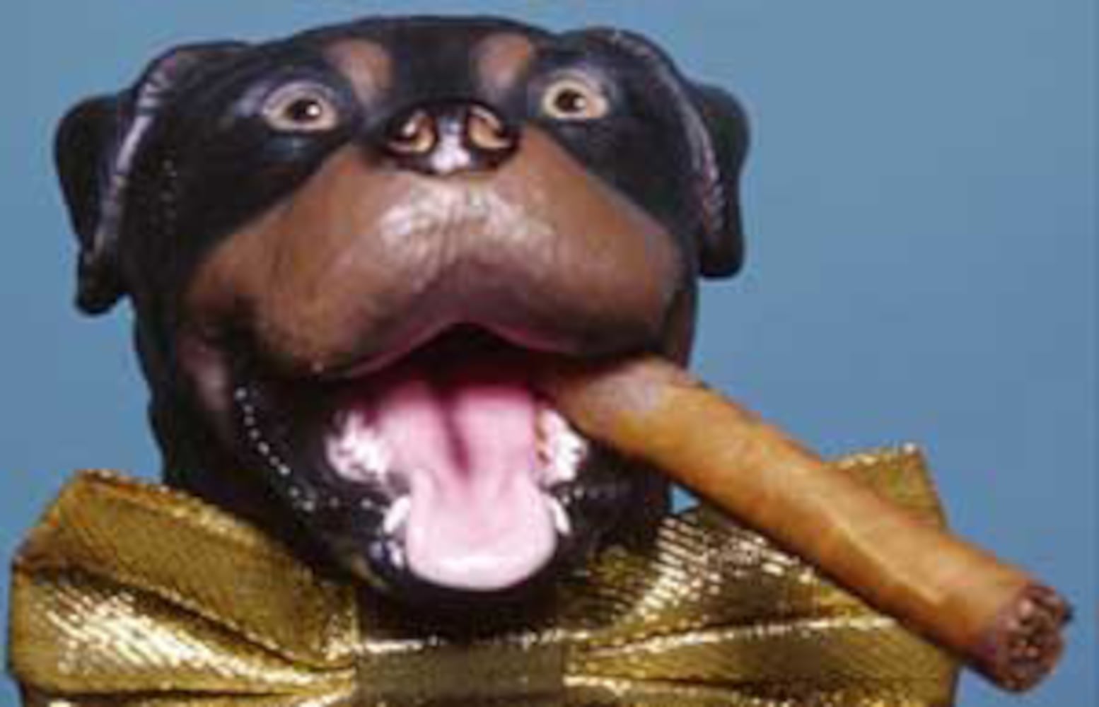 Triumph the Insult Comic Dog