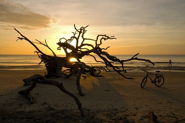 GEORGIA'S GOLDEN ISLES: The Golden Isles are made up of St. Simons Island, Sea Island, Jekyll Island (pictured, at driftwood Beach), Little St. Simons Island, and the port city of Brunswick. Contributed by Golden Isles CVB