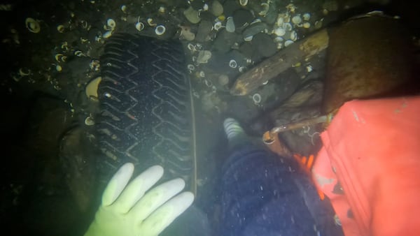 This photo provided by Archer Mayo in 2024 shows underwater footage from the Columbia River of suspected vehicle, that is believed to have belonged to an Oregon family of five who disappeared nearly 70 years ago while they were out searching for Christmas greenery in 1958. (Archer Mayo via AP)