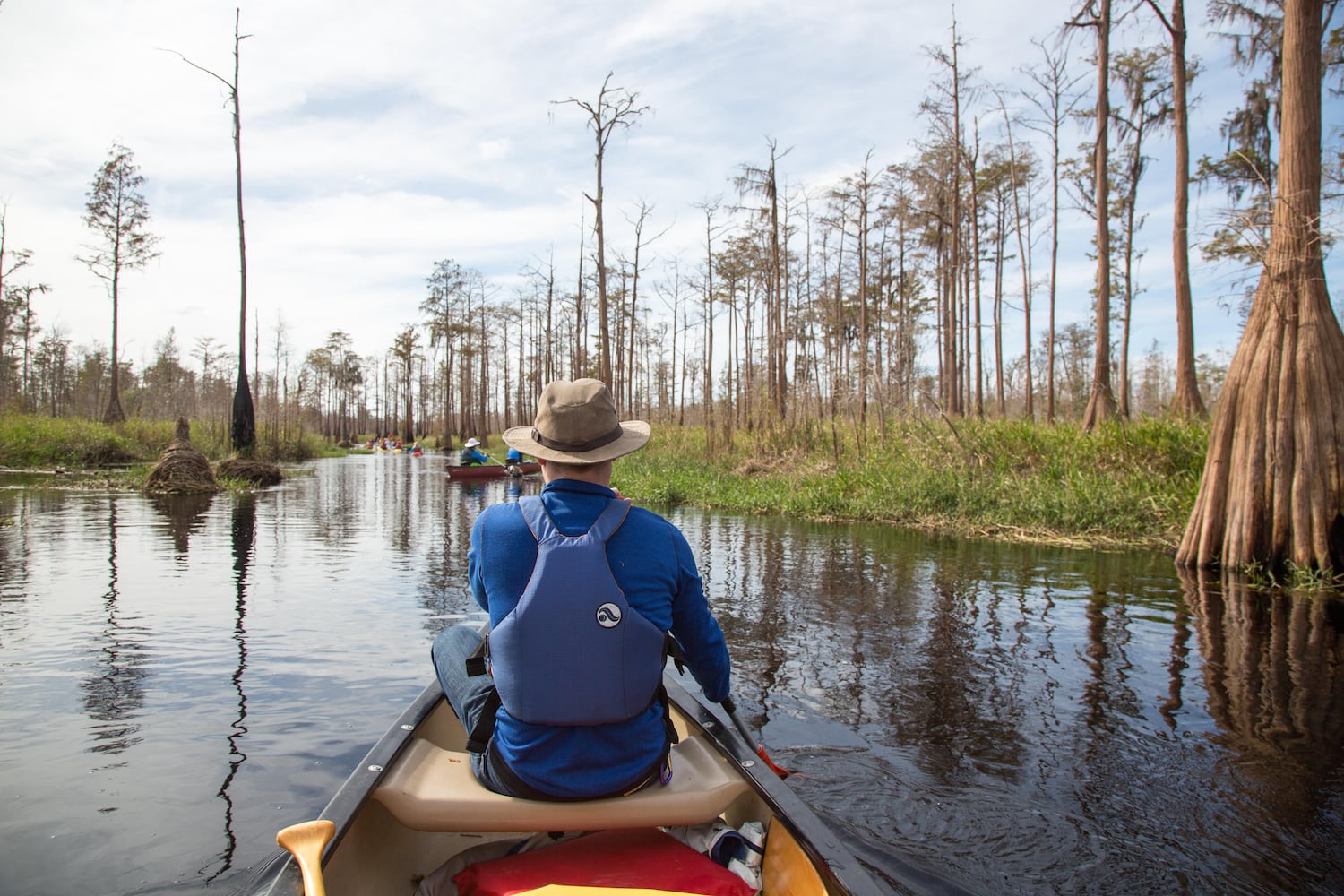 Okefenokee swamp update