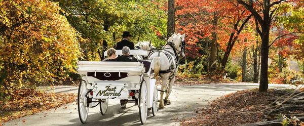 A Valentine's Day elopement in Dahlonega wine county offers an optional horse-drawn carriage ride.