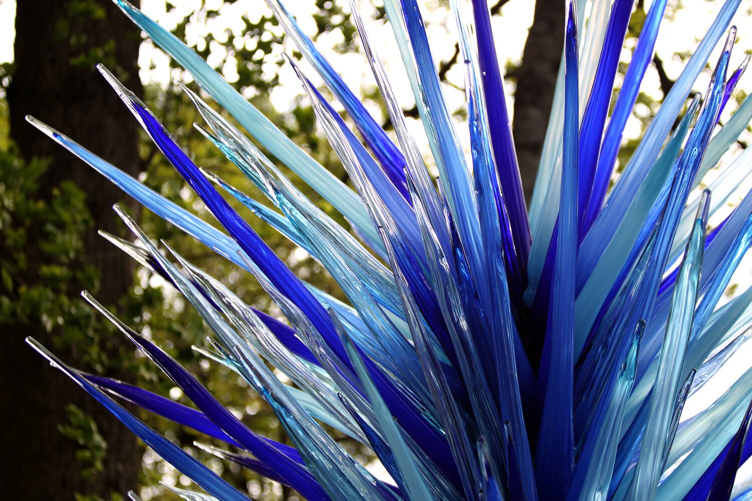 Chihuly Garden Installations | Atlanta Botanical Gardens