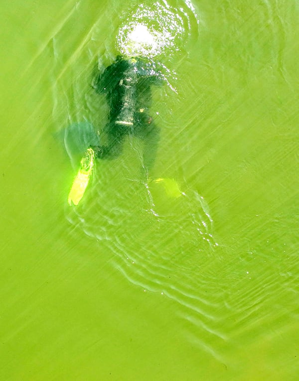 Visibility is often very low in the creeks and rivers in Georgia, which hampers the recovery efforts of scuba divers such as Jeremy Sides. The worst conditions are known as "Braille" dives.  (Hyosub Shin / Hyosub.Shin@ajc.com)