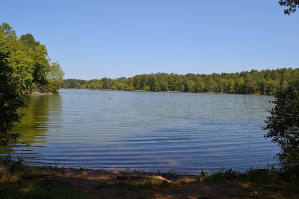 Shepard Lake at Charlie Elliott Wildlife Center is a great lake for anyone from beginner to advanced to catch a fish and reel in a good time. CONTRIBUTED BY GEORGIA DNR