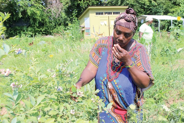 Everine Nyandwi tastes a ripe blueberry. (Courtesy of Dyana Bagby)