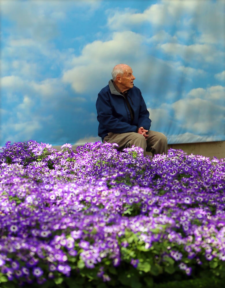 Atlanta Blooms display