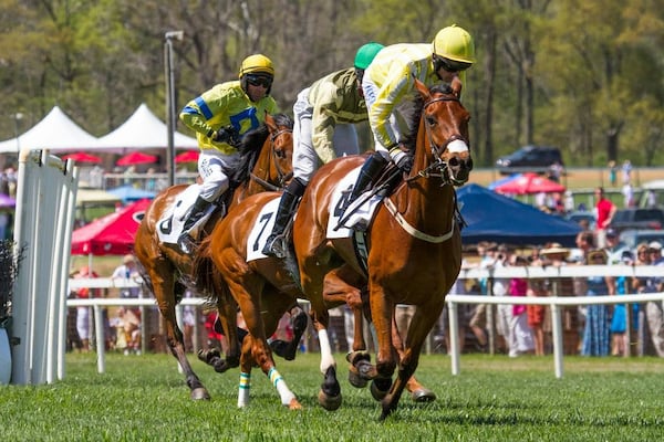 During a steeplechase, horses and riders hurtle around an oval course that features obstacles such as jumps over hedges and pools of water.
Atlanta Steeplechase