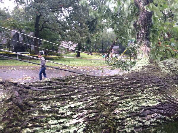 Ken Burnett of Vernon Oaks Drive in Dunwoody scopes out a fallen tree, Tuesday, September 12, 2017, that cut power lines and snapped utility poles following high winds and heavy rain from Tropical Storm Irma. J. SCOTT TRUBEY/STRUBEY@AJC.COM