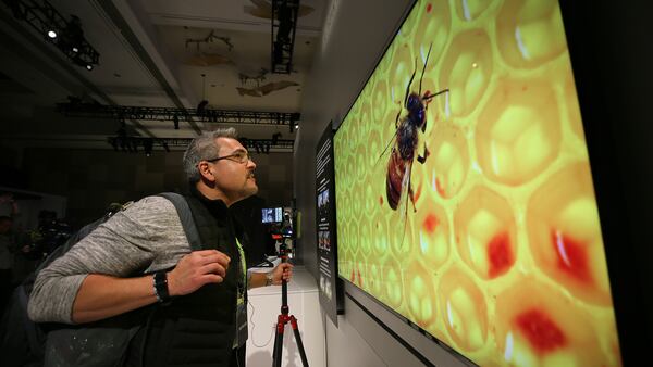 A man observes the picture quality of  Samsung's new 75” modular Micro LED display at CES 2019.