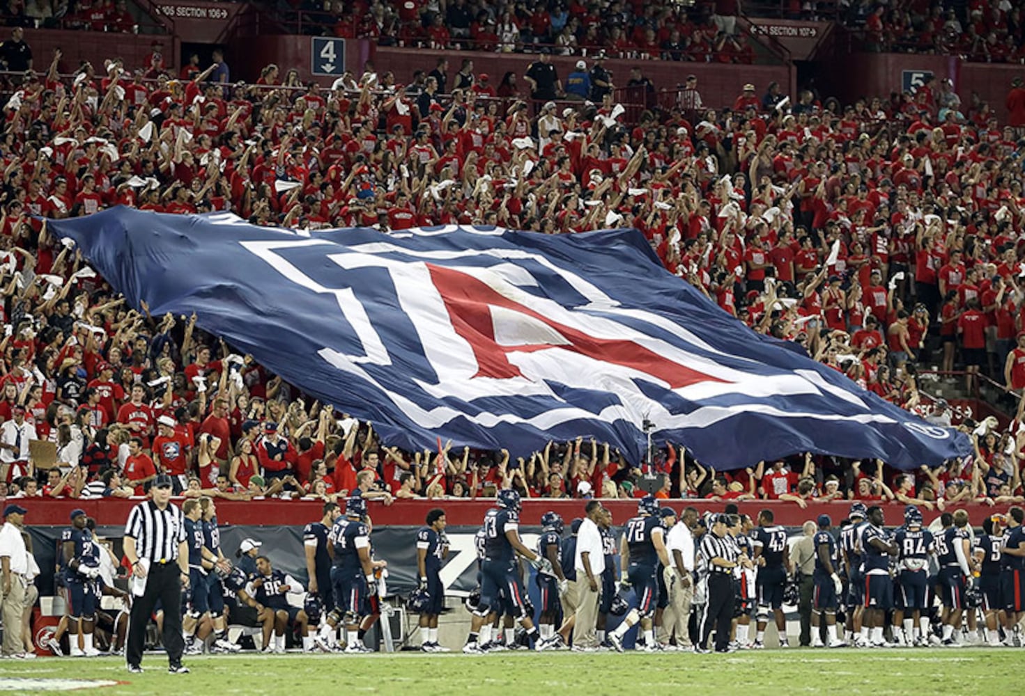 Arizona Wildcats