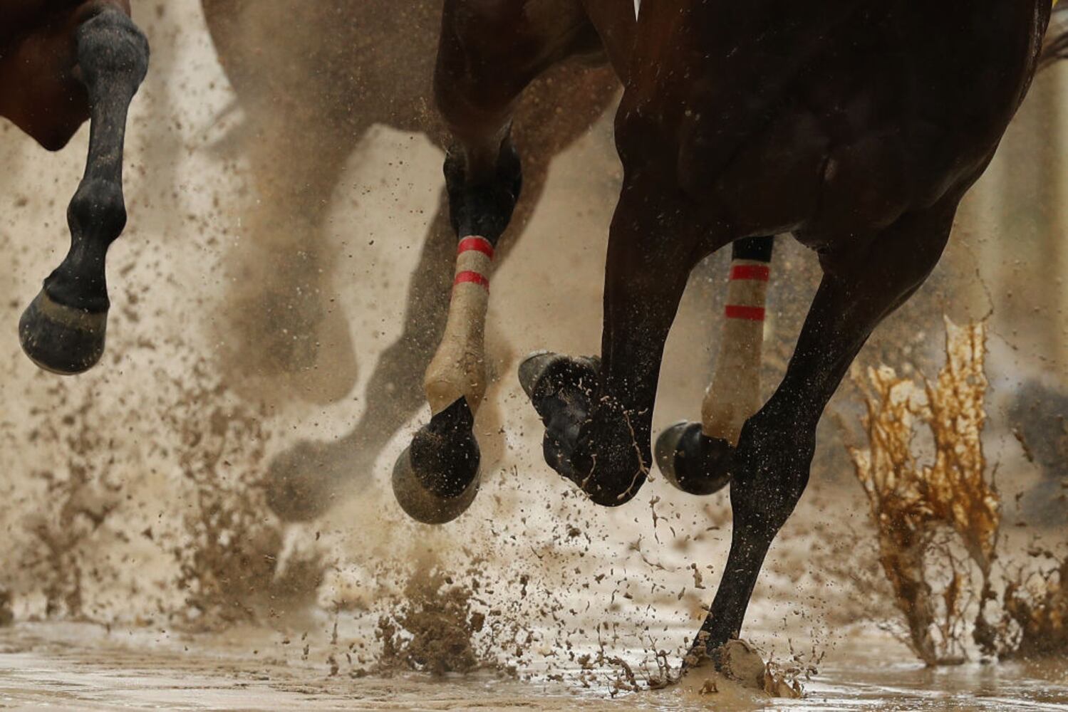 Kentucky Derby scenes and sightings