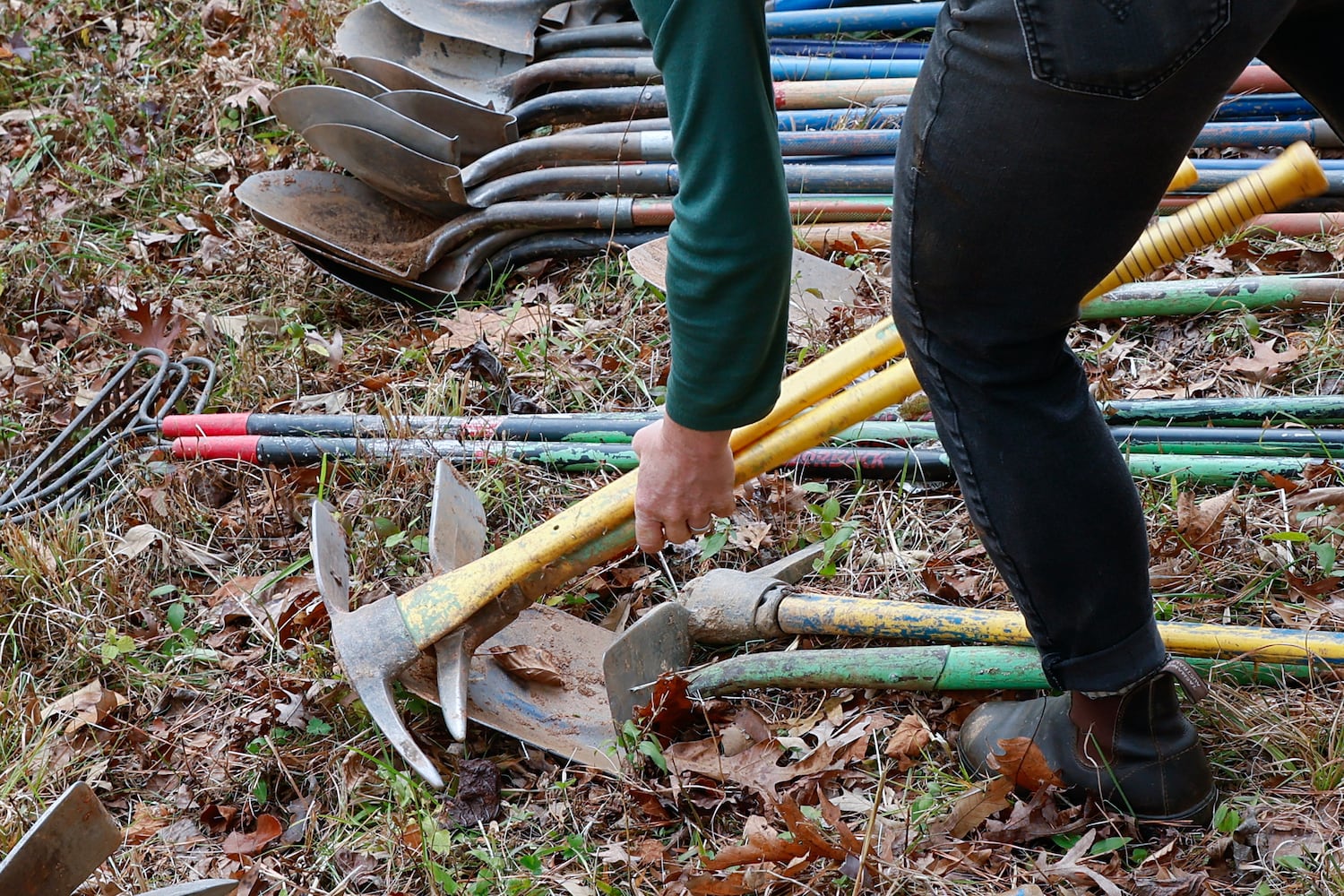 Travis D’Arnaud Plants Trees