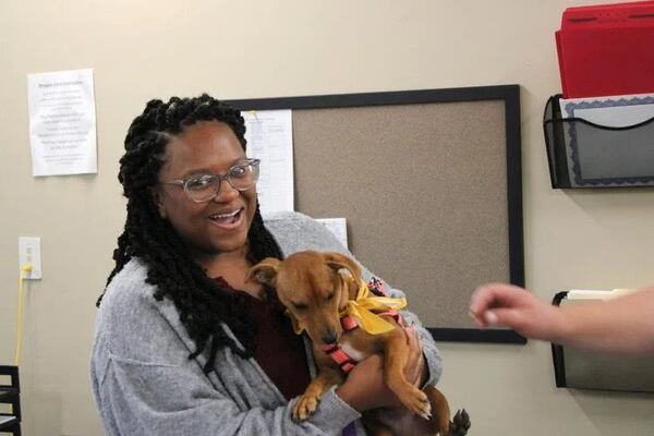 The Floyd County Sheriff’s Office gives some lucky dogs at PAWS the chance to see the community for a day and more importantly, they themselves get to be seen. (Courtesy of Floyd County Sheriff's Office)