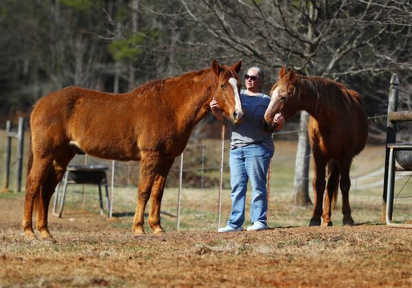 Property owner Ruth Wilson works with her horses Twister and Romeo on her 29-acre horse farm Echo Hill in Lexington, Georgia. Ruth and six neighbors are suing a neighboring farmer who uses his land to apply treated sludge and processed waste that includes dead chicken parts, which causes bad smells. Wilson and the others claim it is also a health risk and devalues their property. (Curtis Compton / Curtis.Compton@ajc.com)