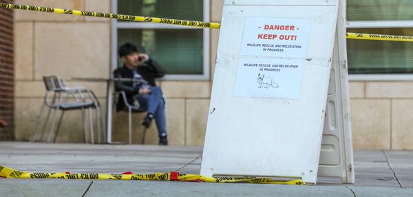 Signs and caution tape warn Georgia Tech students to stay away from an area of campus where there have been fox sightings. JOHN SPINK / JSPINK@AJC.COM