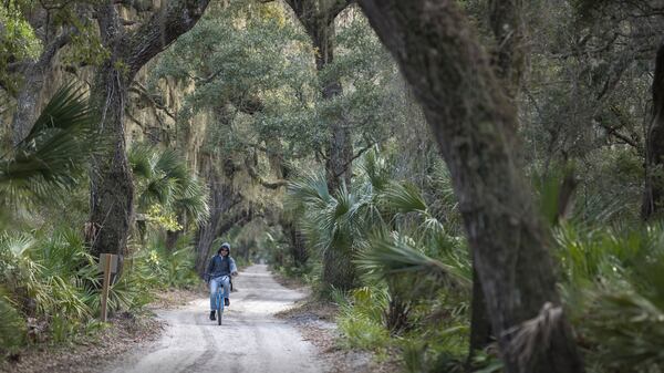 The National Park Service says an exchange on Cumberland Island National Seashore would connect more federally owned parcels and give four landowners parcels that would be “less impactful on visitors.” But environmental groups say private landowners are being prioritized over a congressional mandate to preserve the island in its natural state.