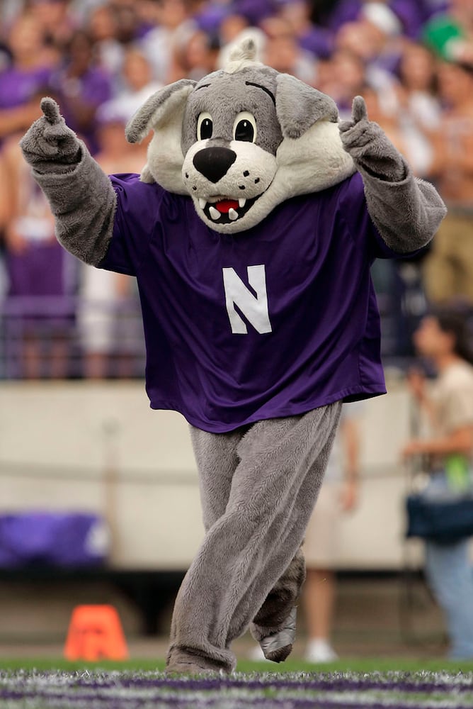 Northwestern Wildcats