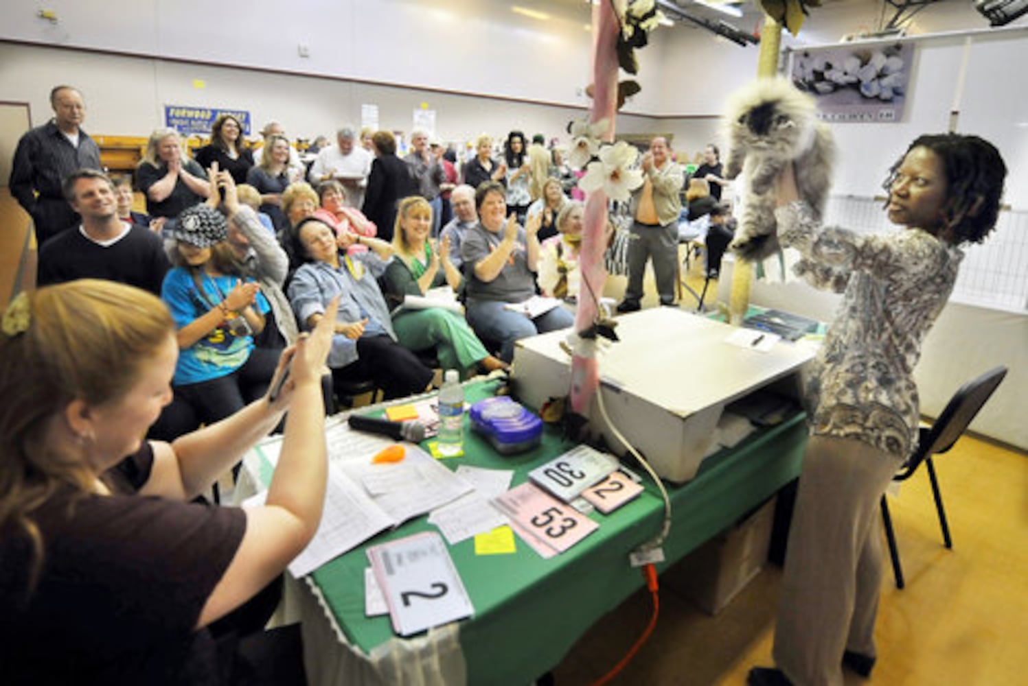 Phoenix Cat Show brings feline fanciers to Roswell