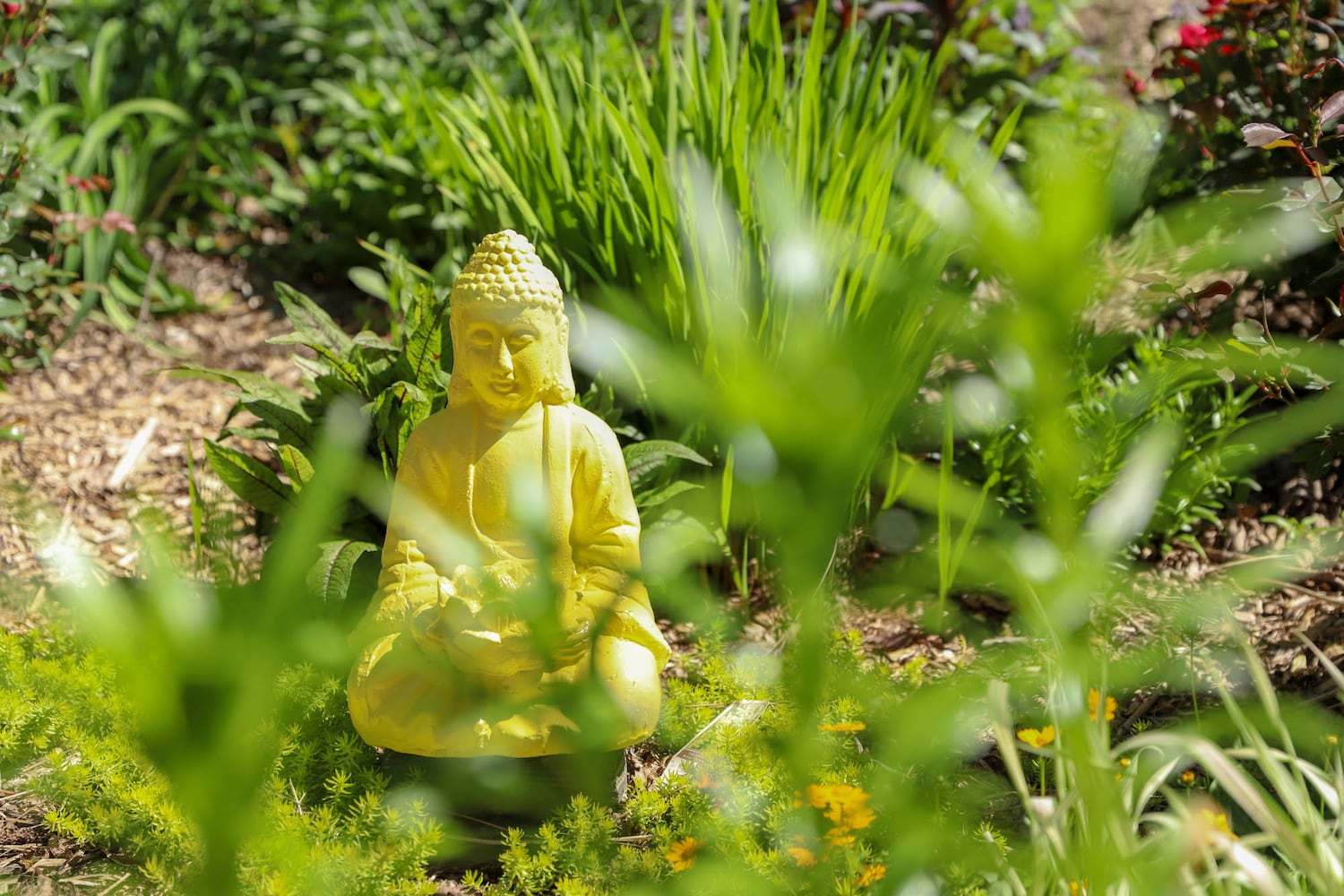 Photos: Cobb County home features whimsical garden as its backdrop