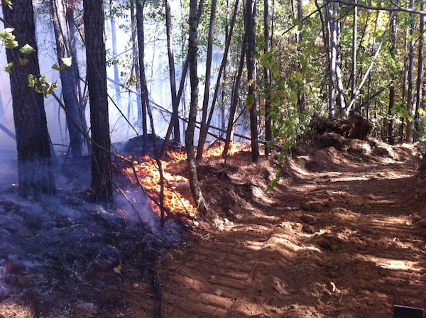 Wildfire in Cherokee County (Credit: Channel 2 Action News)