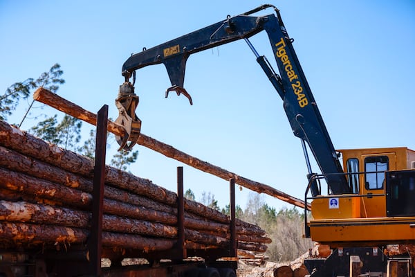 A logger loads trees onto a truck on land co-owned by Jake and Lana Hilderbrand in Jeff Davis County on Tuesday, March 18, 2025. With the help of a timber consultant, they are working to salvage the trees knocked down by Hurricane Helene and replant the land. (Miguel Martinez/AJC)