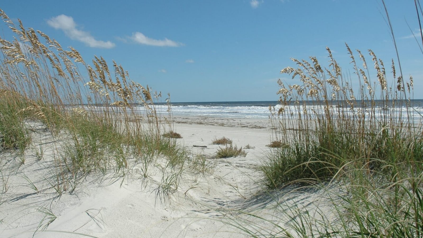 Cumberland Island is Georgia's largest barrier island on the Atlantic coast. (Photo courtesy of Cumberland Island National Seashore)