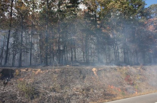 The fires in Floyd County are now under control, according to a Georgia Forestry Commission official. (Credit: Rome News-Tribune)