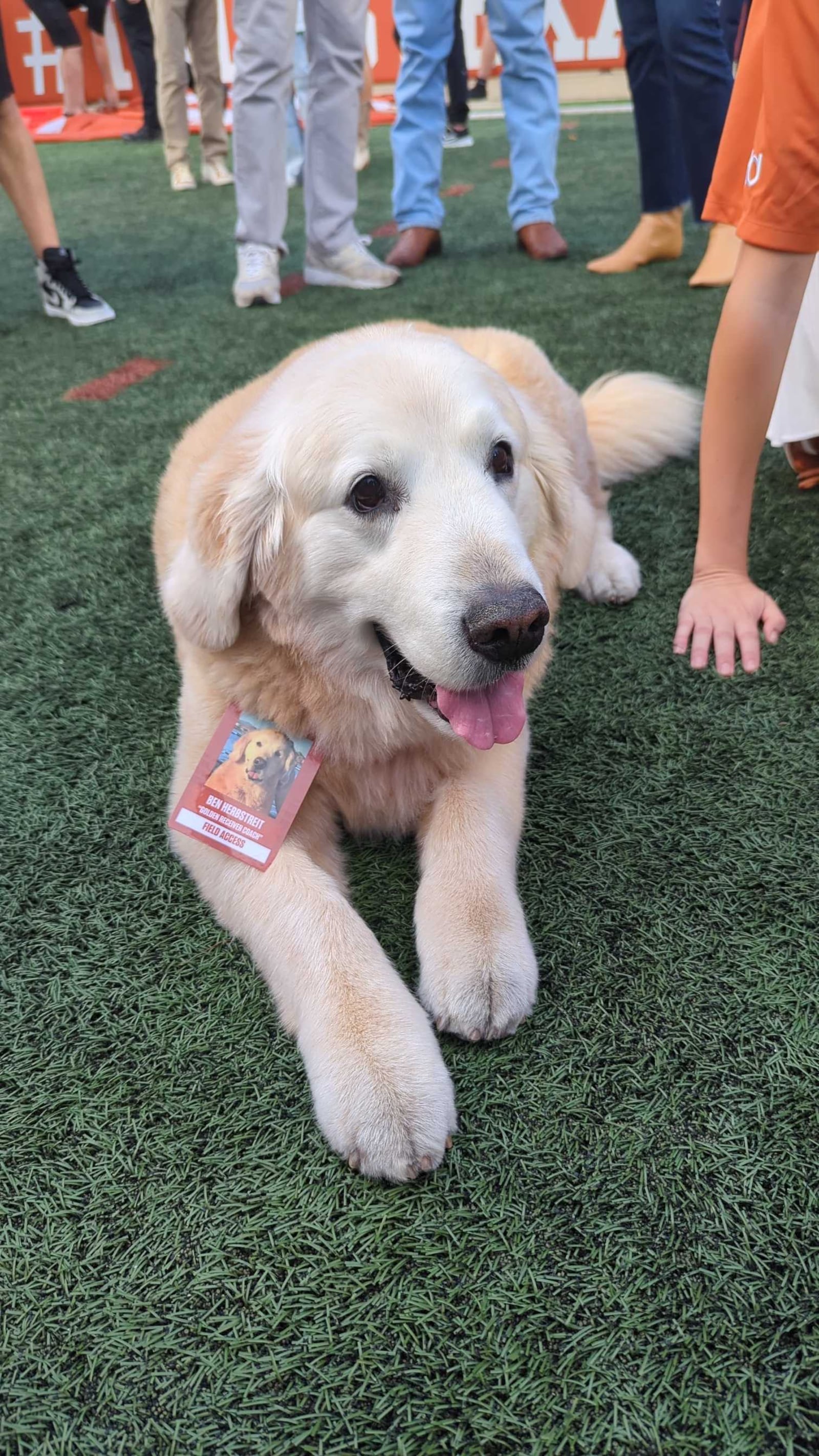 Kirk Herbstreit's dog, Ben, at the Georgia-Texas game. (Photo: Cayce Dunn/DawgNation)