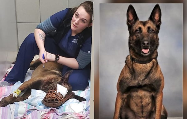 Indi, a DeKalb County police dog, was released from the Blue Pearl Veterinary Hospital after being shot Friday.