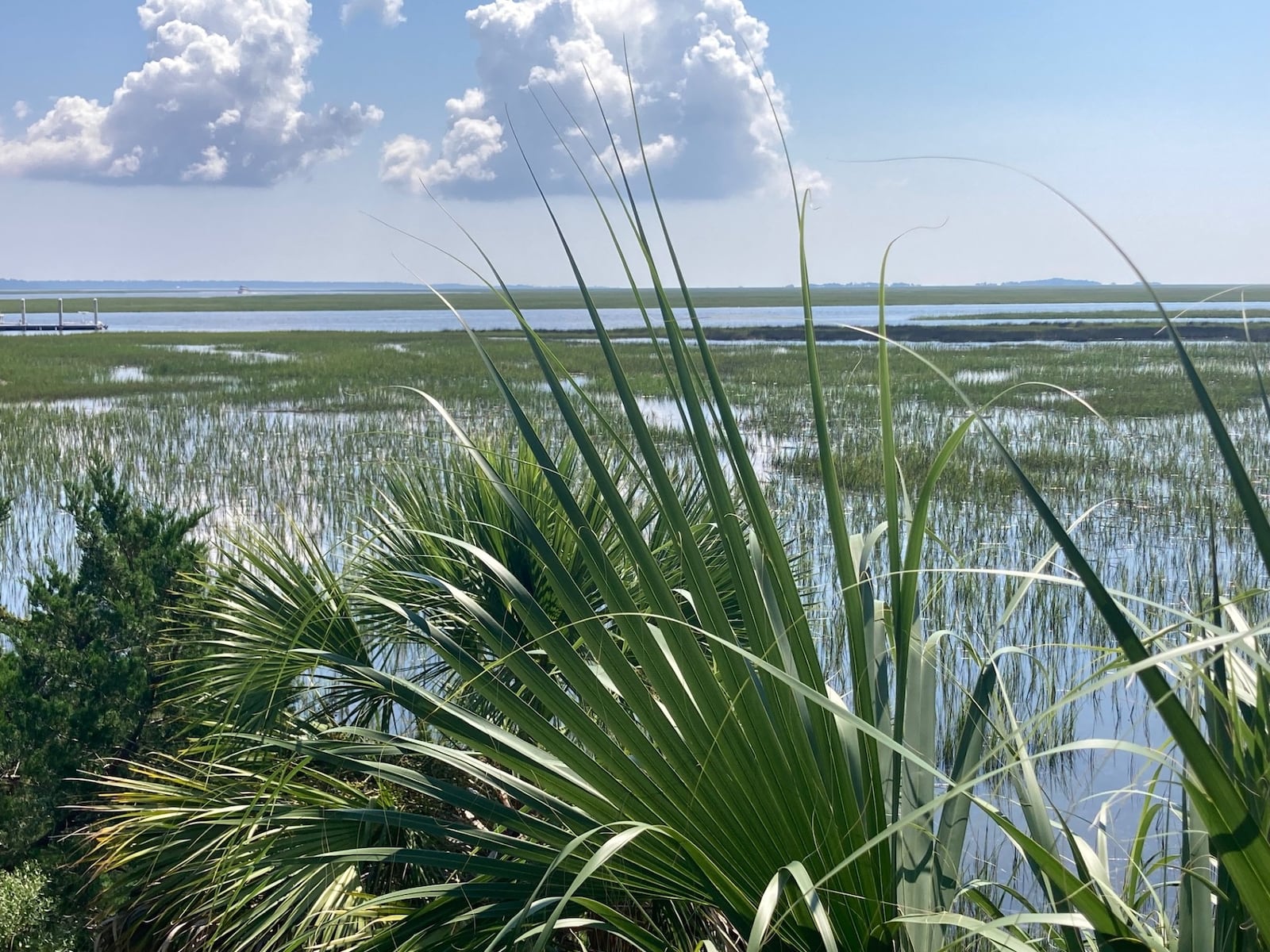 Sapelo Island is a barrier island in coastal Georgia accessible only by boat. (Adam Van Brimmer/AJC)