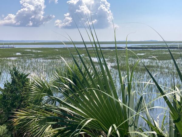 Sapelo Island is a barrier island in coastal Georgia accessible only by boat. (Adam Van Brimmer/AJC)