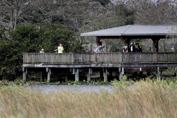 A wildlife viewing area at the Arthur R. Marshall Loxahatchee National Wildlife Refuge on Tuesday Feb. 15, 2020 west of Boynton Beach. (Susan Stocker/South Florida Sun-Sentinel/TNS)