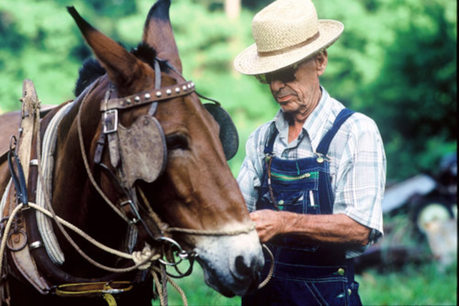 Protecting Cobb County's Hyde Farm