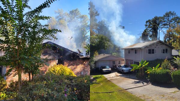 Eleven birds were rescued from the Gwinnett home, authorities said.