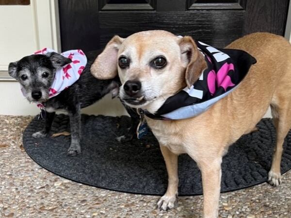 Jack and Mazy Durham are wearing their pink for Breast Cancer Awareness Month. They call Lynn Durham, the president & CEO of the Georgia Center for Oncology Research and Education, their person. (Courtesy photo)