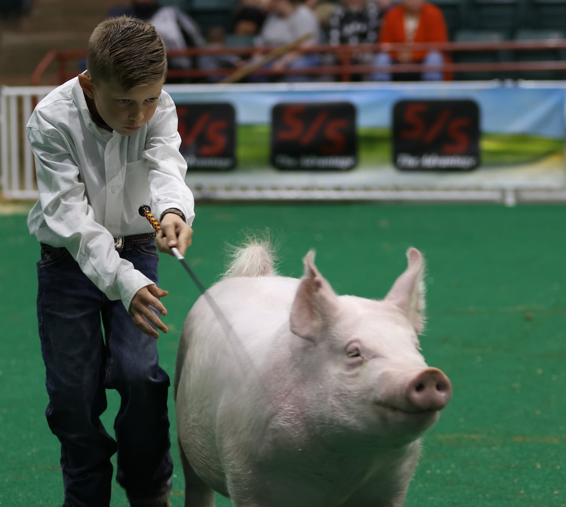 UGA FAIR