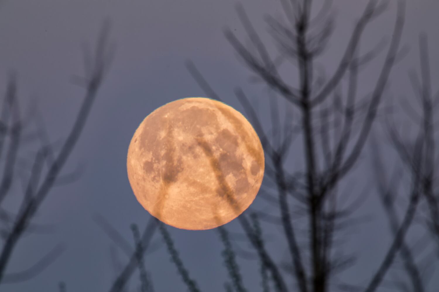 Photos: Final supermoon of 2019 brightens the night sky