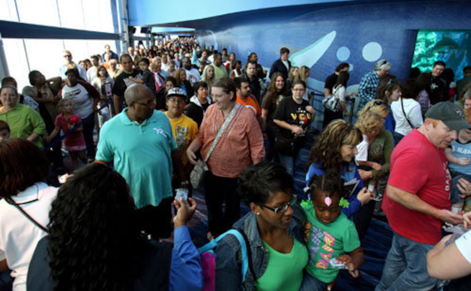 Dolphin exhibit opens at Georgia Aquarium