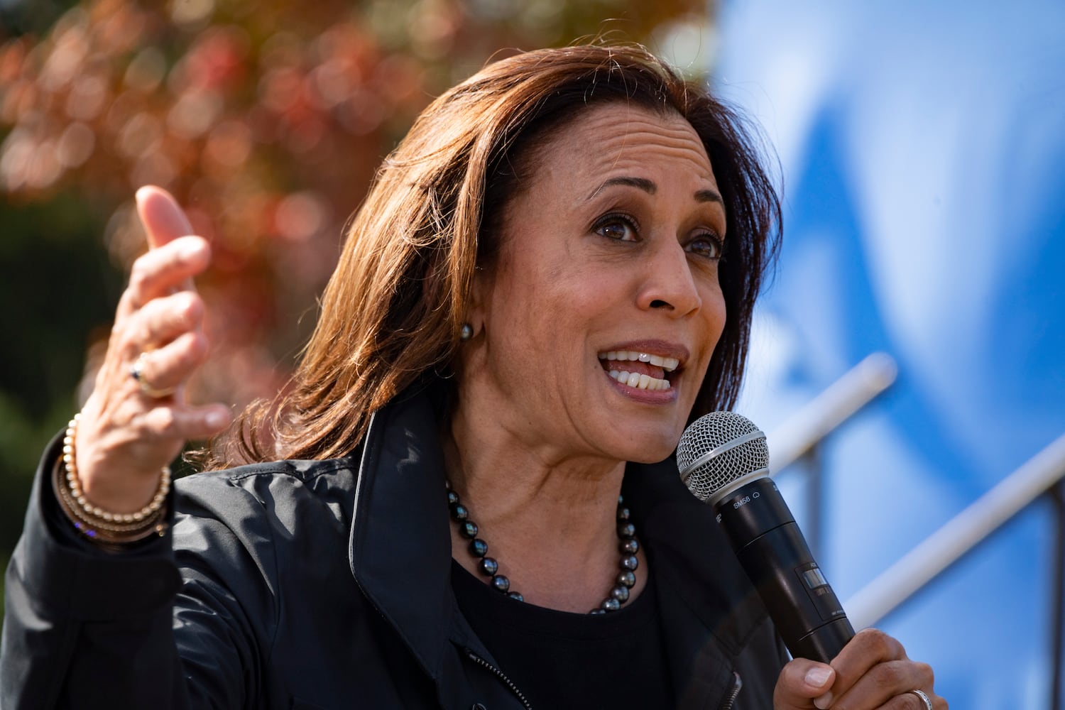 Kamala Harris in Gwinnett