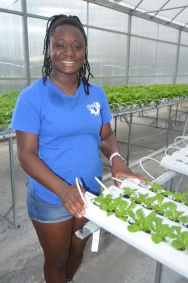 McKenzie Whitaker, a rising senior at Westover High School, is one of the five interns tending the hydroponics greenhouse and outdoor garden area at 4C Academy. (Photo Courtesy of Alan Mauldin)