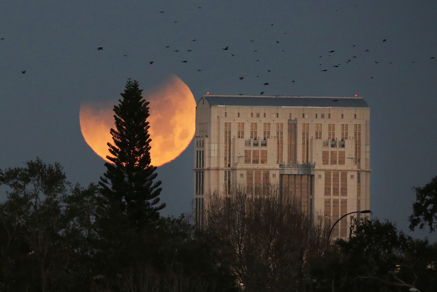 Photos: Super blue blood moon eclipse 2018