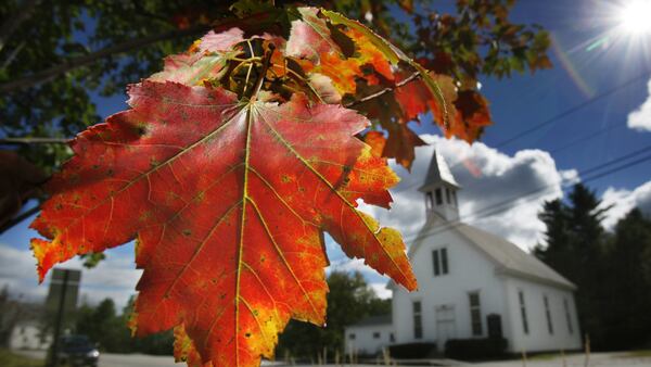 FILE - In this Sept. 17, 2010 file photo, a maple tree shows its fall colors in Woodstock, Maine. New England's 2017 fall foliage forecast is very favorable for leaf peeping. (AP Photo/Robert F. Bukaty, File)