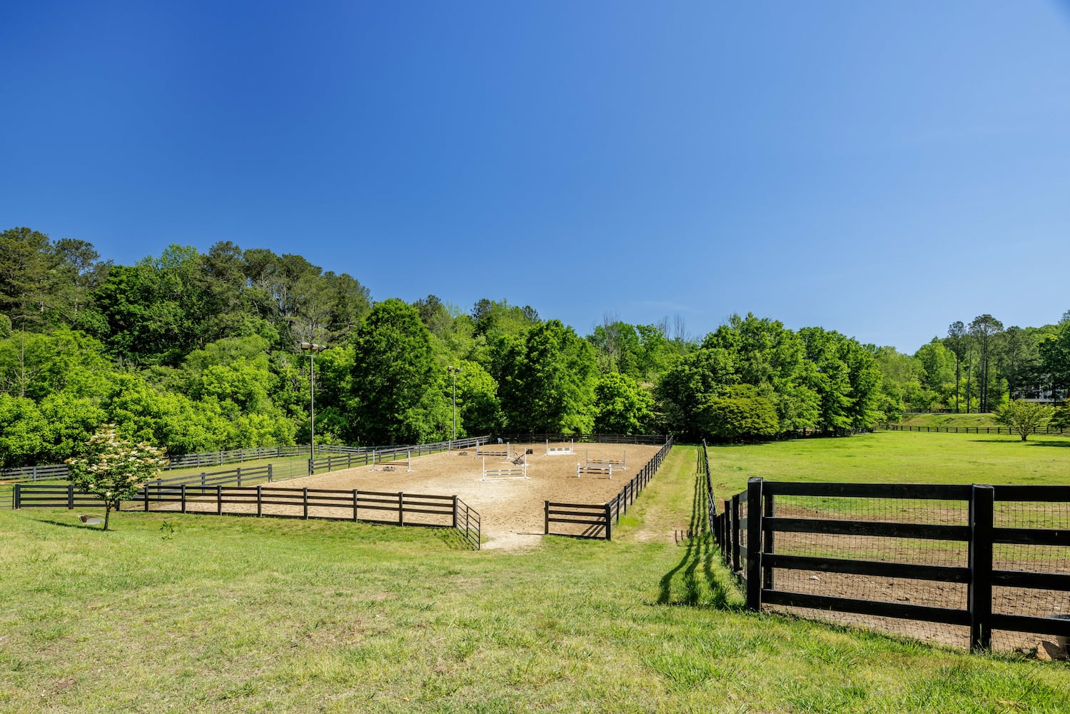 Luxurious Atlanta estate going to auction is both a ranch and a vineyard