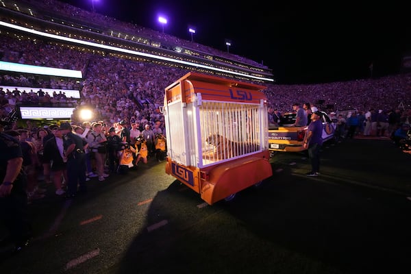 A live tiger is rolled into Tiger Stadium before an NCAA college football game between LSU and Alabama in Baton Rouge, La., Saturday, Nov. 9, 2024. (AP Photo/Gerald Herbert)