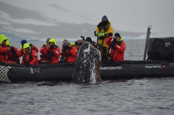 "I was in Antarctica for month of January last year," wrote Bill Martin. He shared this photo he called a once in a lifetime picture.