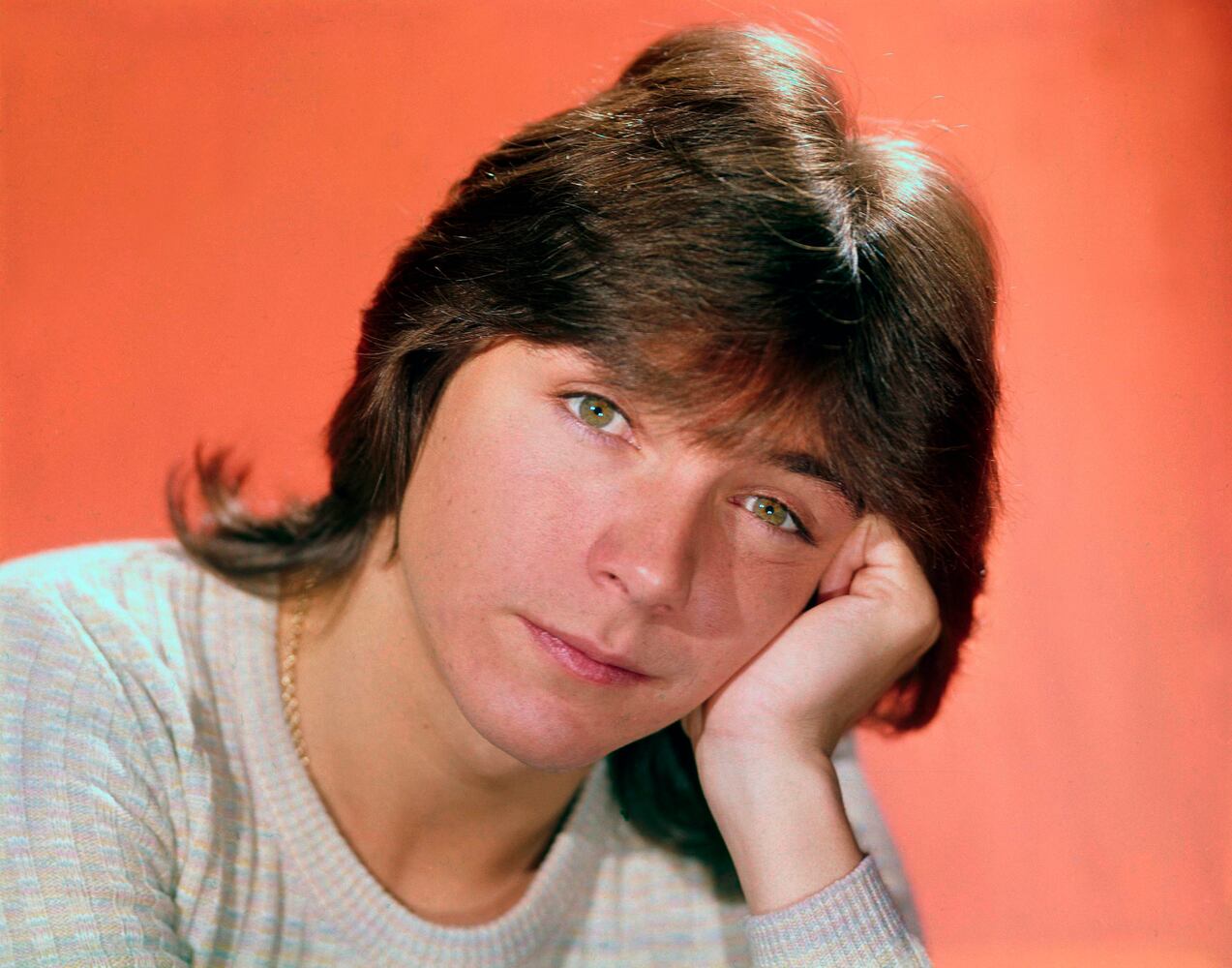 David Cassidy