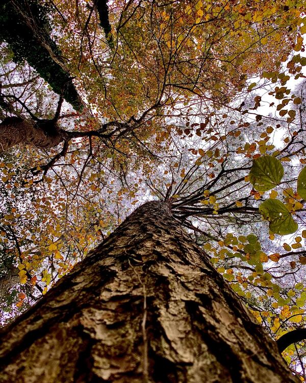 Cody Bryant shared this photo shot in Atlanta.